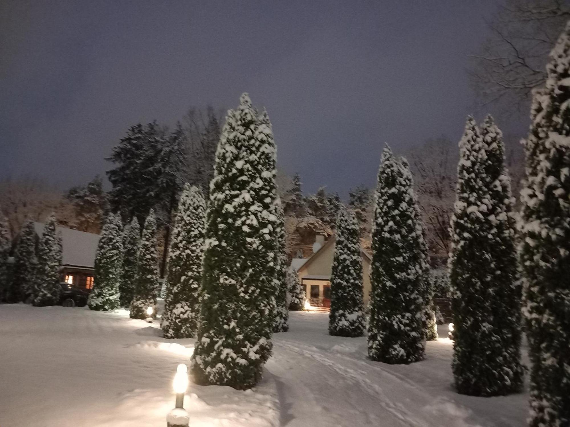 Forest Edge House Ρίγα Δωμάτιο φωτογραφία